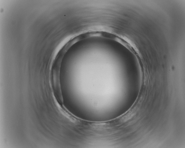 X0000076381342200610161105