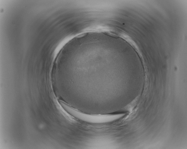 X0000076381344200610161105