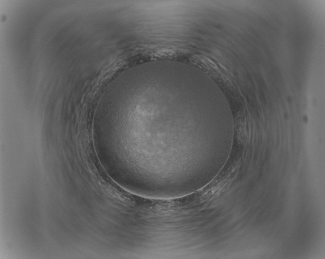 X0000076381345200610161105