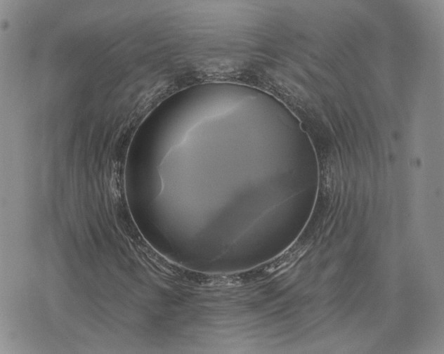 X0000076381346200610161105