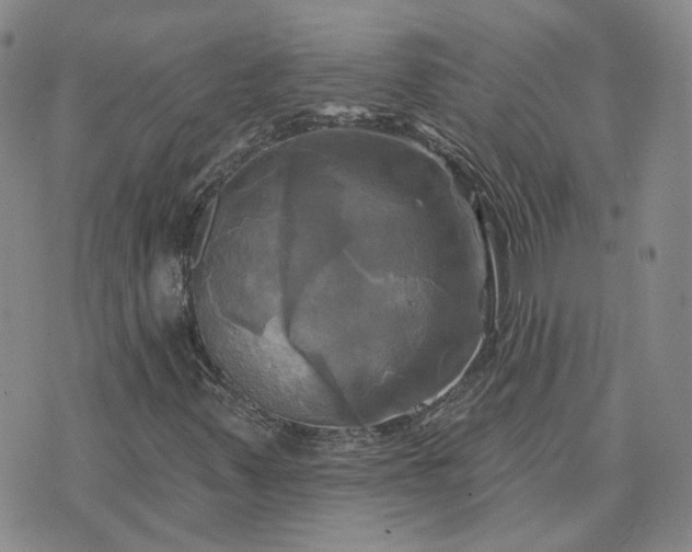 X0000076381347200610161105