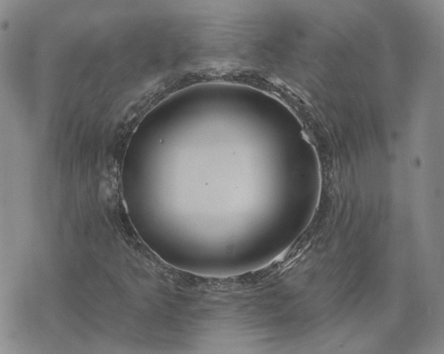 X0000076381349200610161104