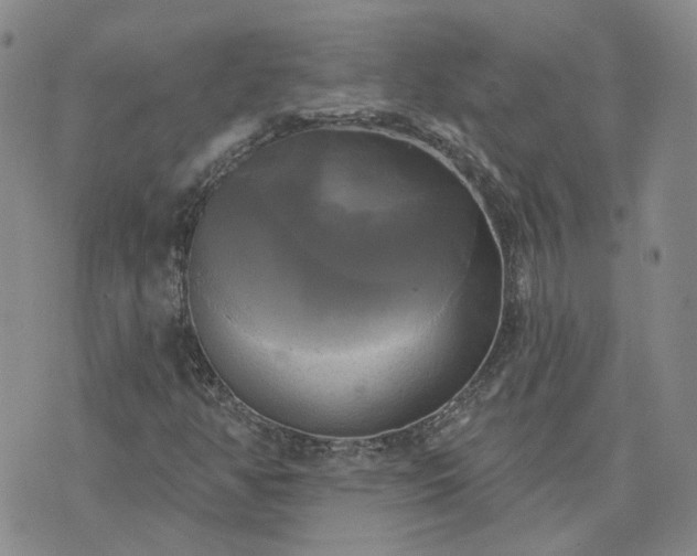 X0000076381350200610161104