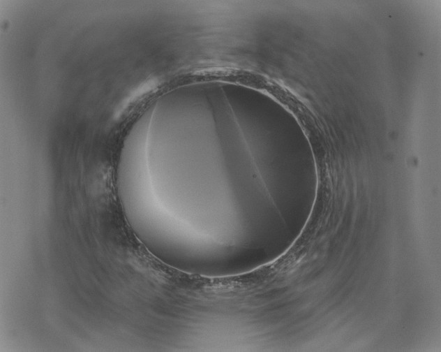 X0000076381351200610161104