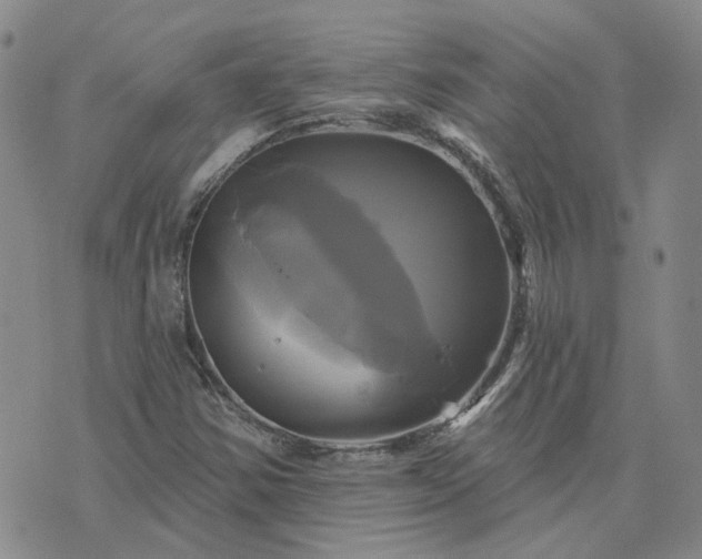 X0000076381354200610161104