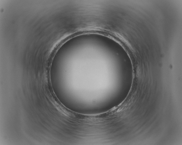 X0000076381356200610161104