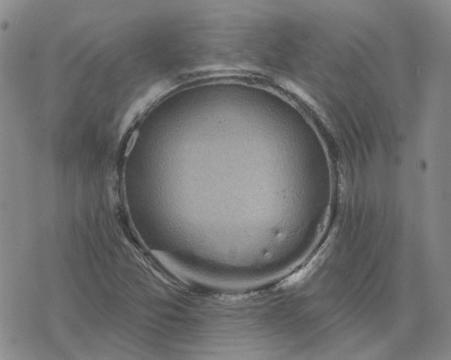 X0000076381357200610161104