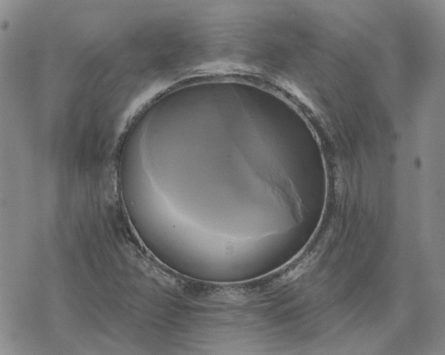 X0000076381358200610161104