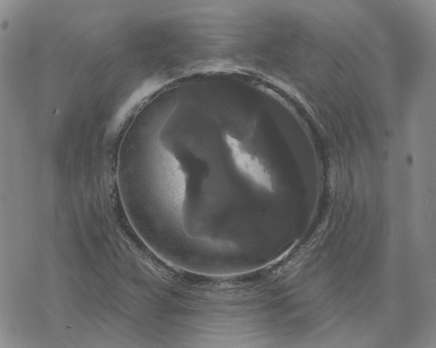 X0000076381359200610161104