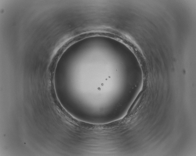 X0000076381360200610161104