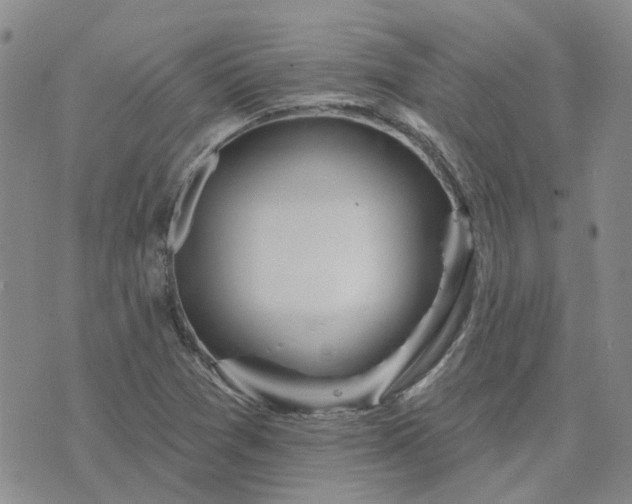 X0000076381361200610161104