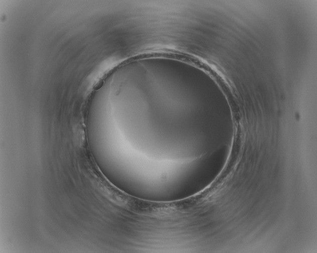 X0000076381363200610161104