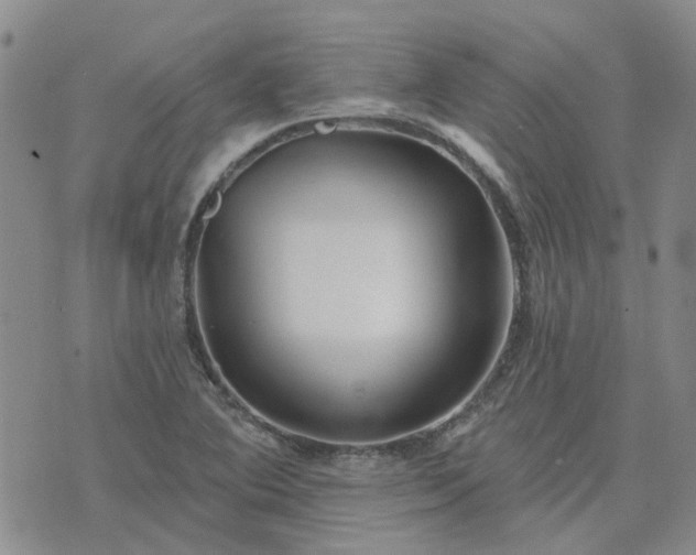 X0000076381364200610161104