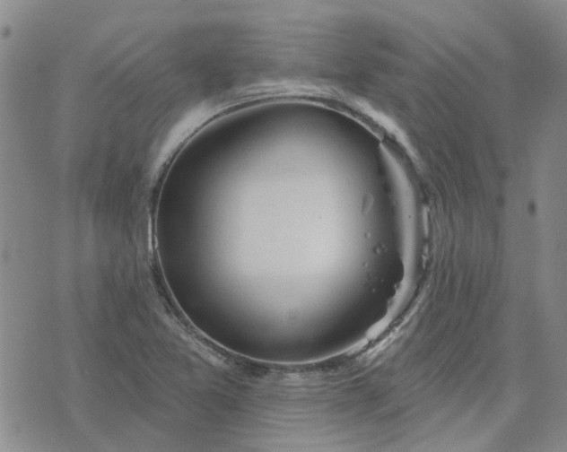 X0000076381365200610161104