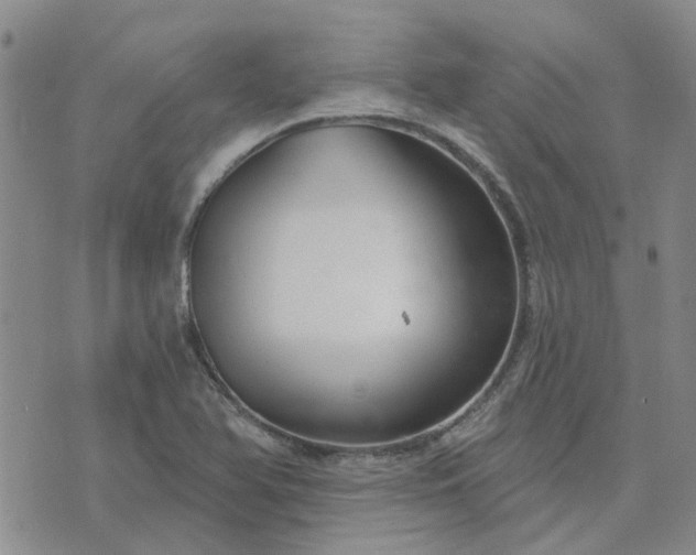 X0000076381366200610161104