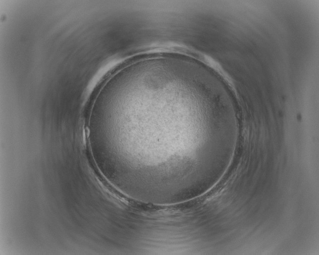 X0000076381368200610161104