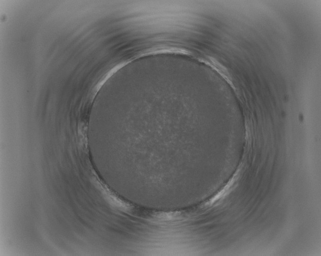 X0000076381369200610161104