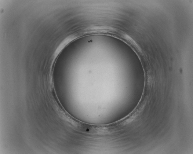 X0000076381370200610161104