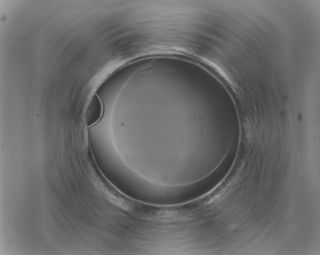 X0000076381371200610161104