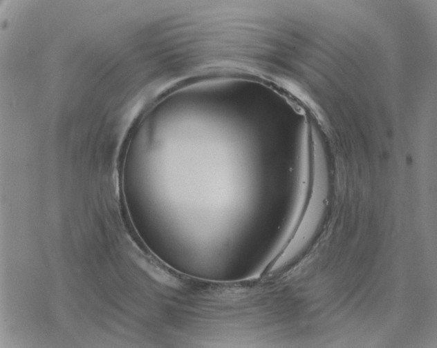 X0000076381372200610161104