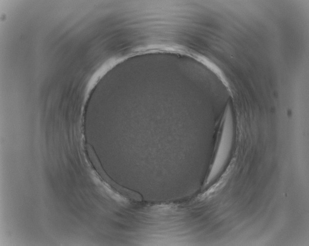 X0000076381373200610161104