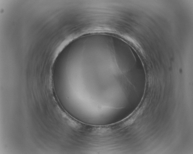 X0000076381374200610161104