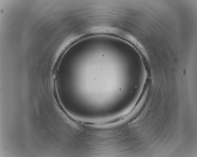 X0000076381376200610161104