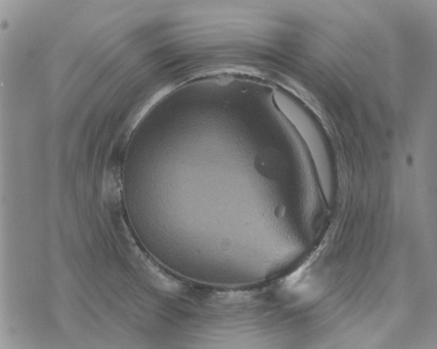 X0000076381377200610161104