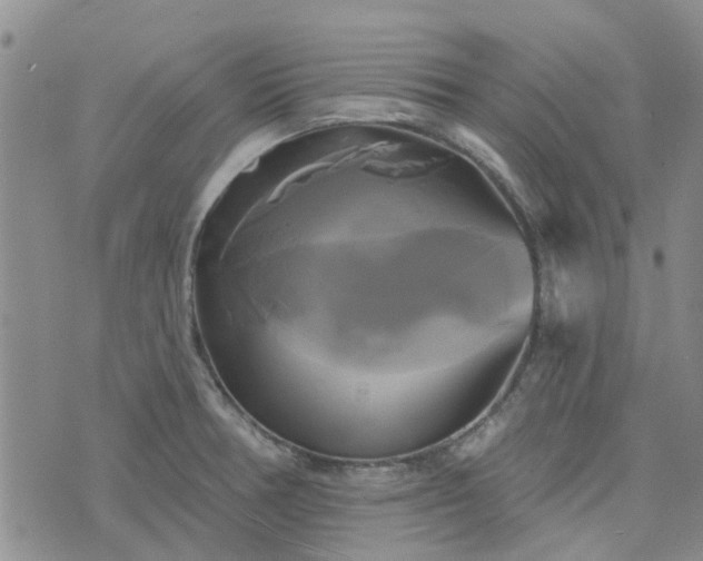 X0000076381378200610161104