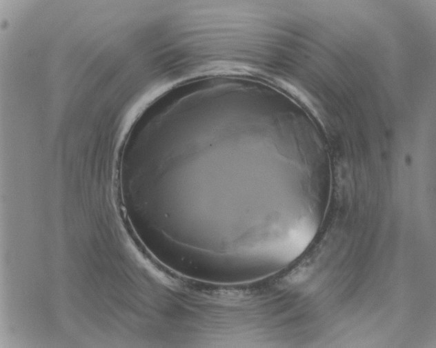 X0000076381379200610161104