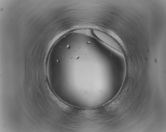 X0000076381380200610161104