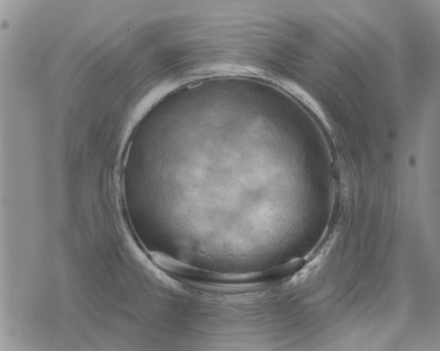 X0000076381381200610161104