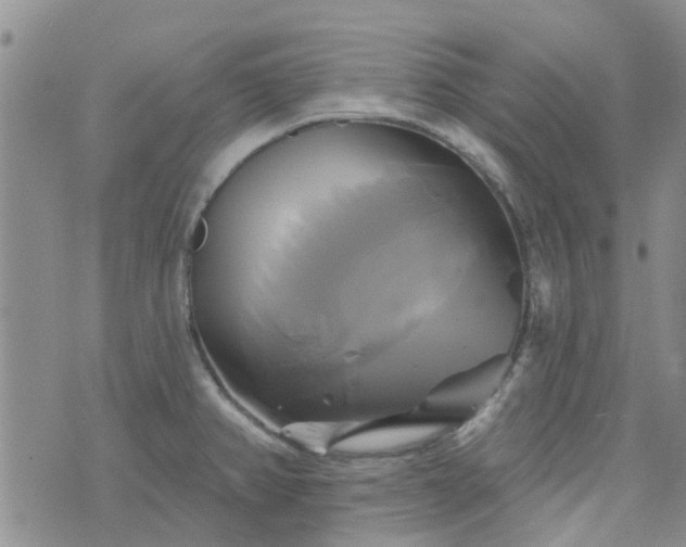 X0000076381382200610161104