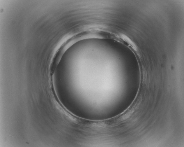 X0000076381384200610161104