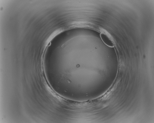 X0000076381386200610161104