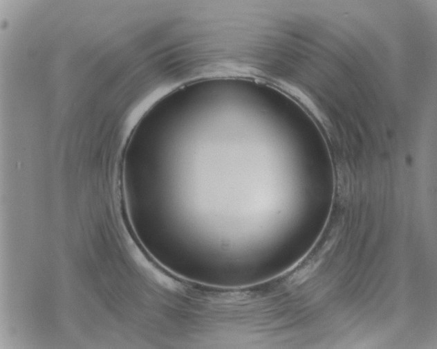 X0000076381387200610161104