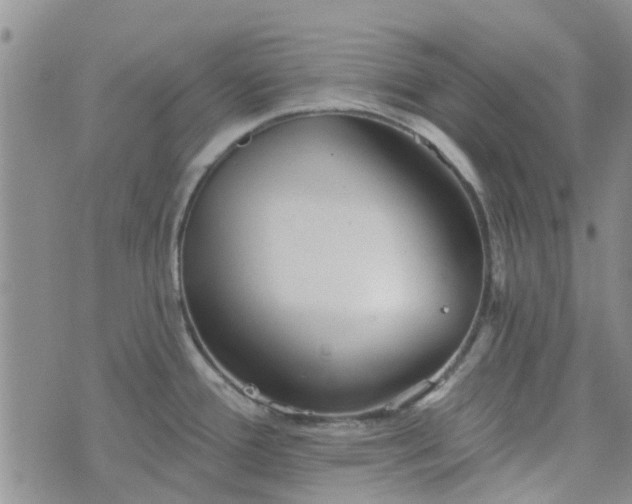 X0000076381388200610161104