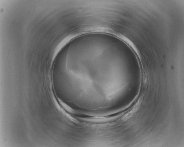 X0000076381389200610161104