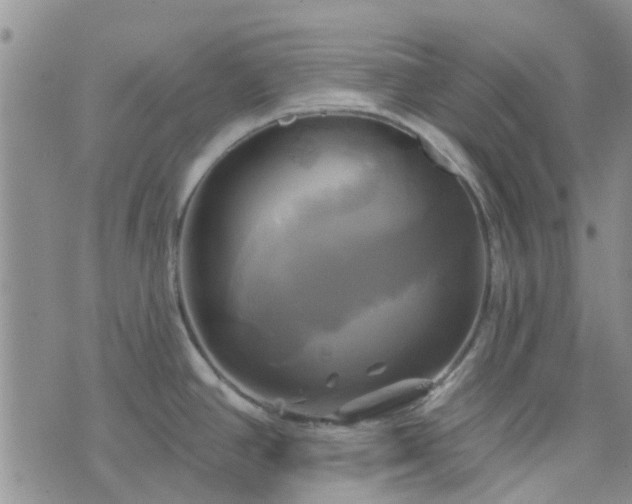 X0000076381390200610161104