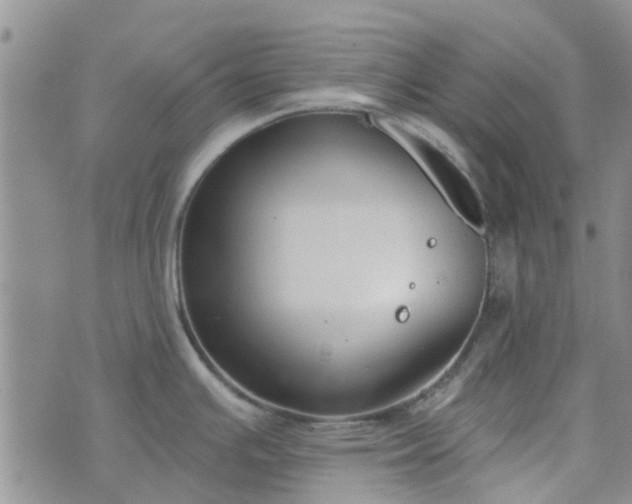 X0000076381391200610161104