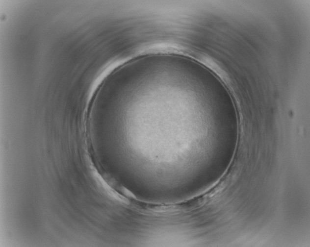 X0000076381392200610161104