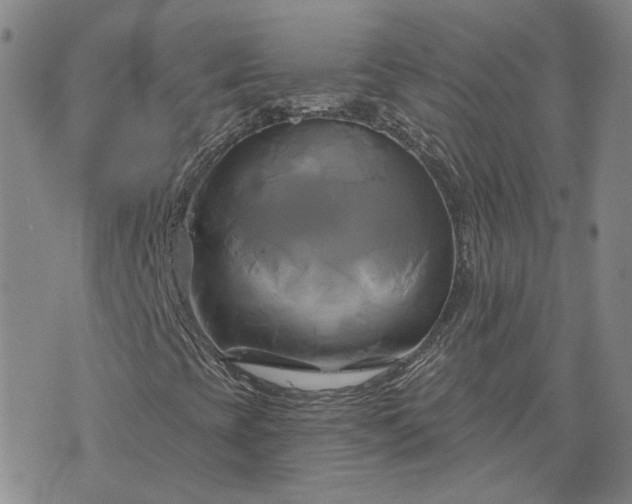 X0000076381393200610161103