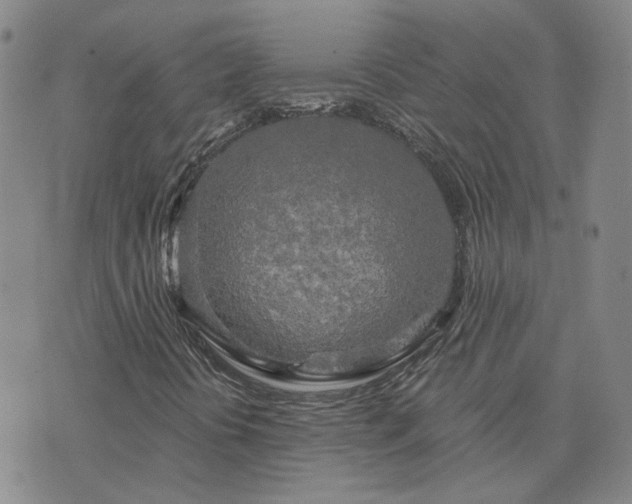 X0000076381394200610161103