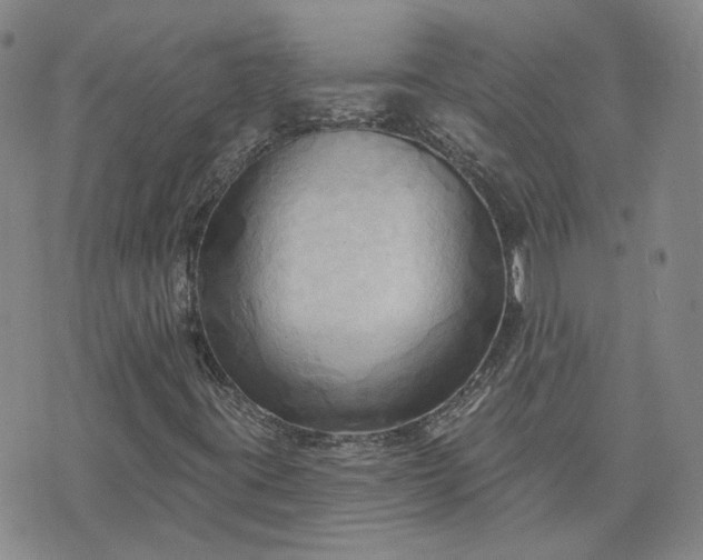 X0000076381395200610161103