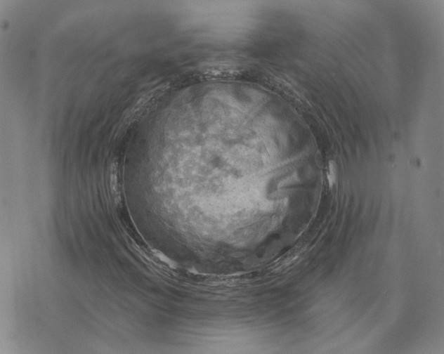 X0000076381396200610161103