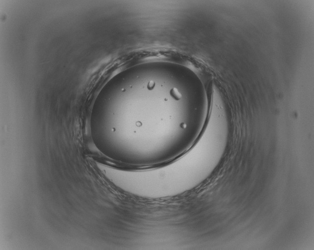 X0000076381398200610161103