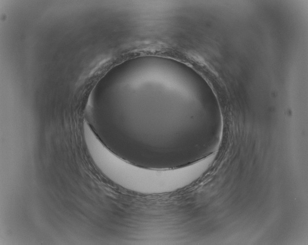 X0000076381399200610161103