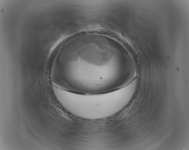 X0000076381400200610161103