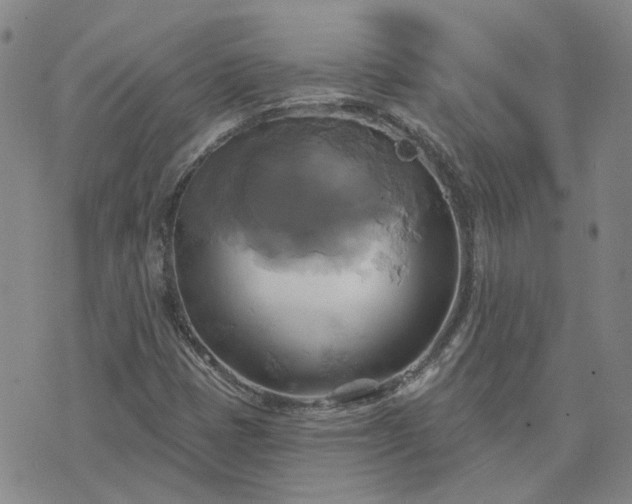 X0000076381401200610161103