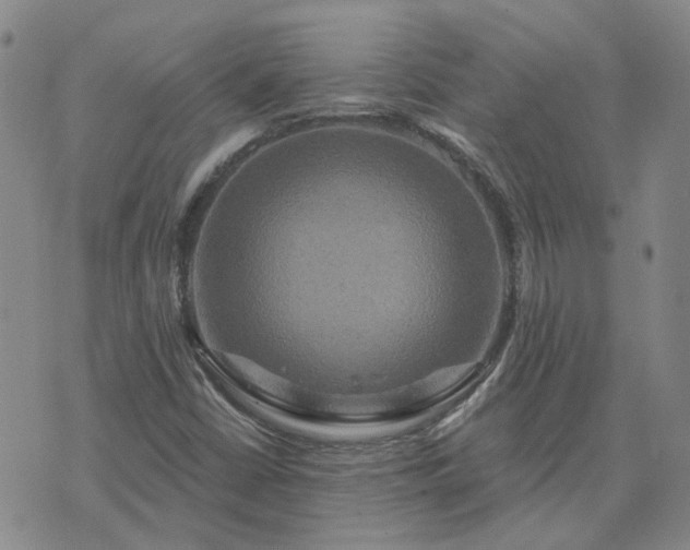 X0000076381402200610161103